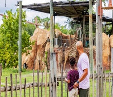 Zoo Tampa has lush tropical exhibits that will leave visitors in awe. Photo courtesy of the zoo
