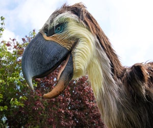 Prehistoric Beasts. Photo courtesy of the Houston Zoo