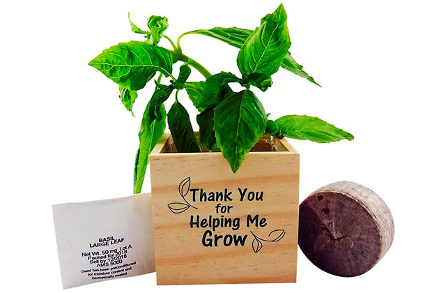 Teacher Appreciation Gifts: Garden gifts