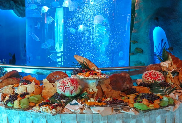 The Aquarium is open on Thanksgiving in Houston.