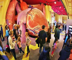 The Franklin Institute in Philadelphia is well worth the day trip.