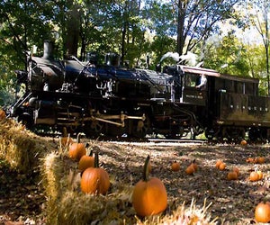 Throughout the month of October, visitors can take The Great Pumpkin Train to pick a pumpkin from the pumpkin patch while enjoying the beautiful scenery. Photo courtesy of the Delaware River Railroad