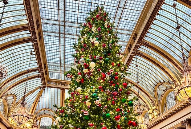 Best Holiday Lights in San Francisco: The Palace Hotel