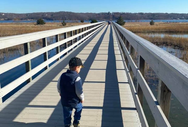 Long Island Winter Walks: Sagamore Hill