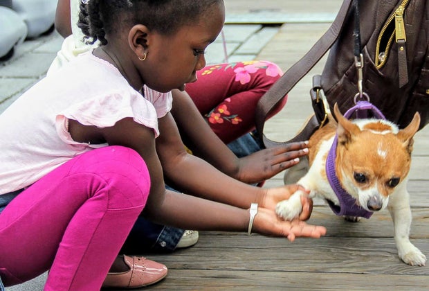 Things To Do with Kids in DC: District Wharf