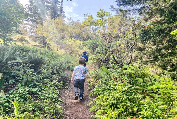 Free Things To Do in San Francisco: Tilden Park