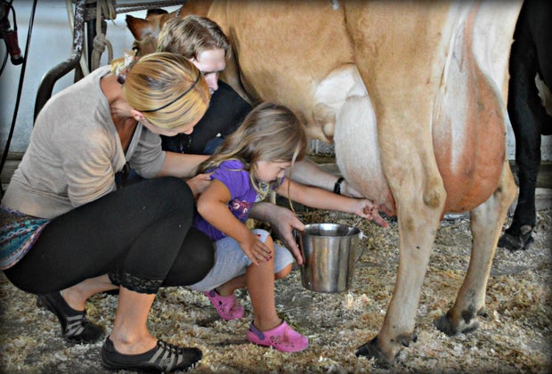 Farm stays near NYC: Hull-O-Farms