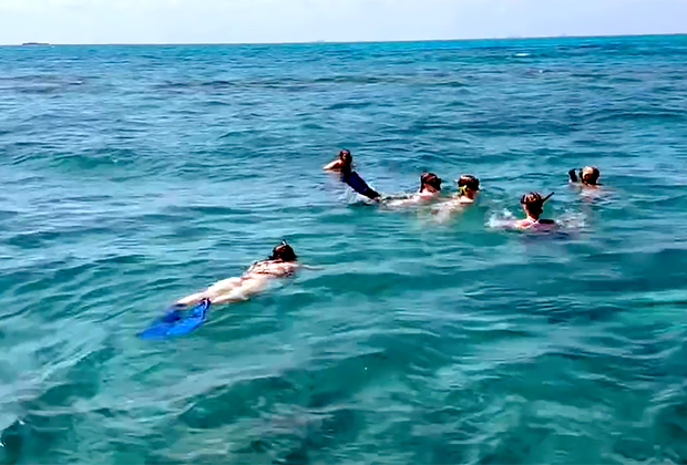 Ace Diving: snorkeling