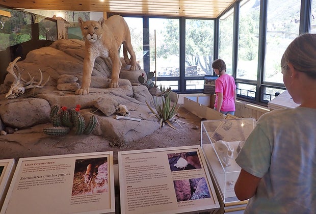Big Bend National Park with Kids: Chisos Basin Visitor Center