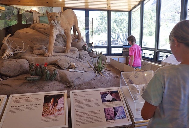 Big Bend National Park with Kids: Chisos Basin Visitor Center