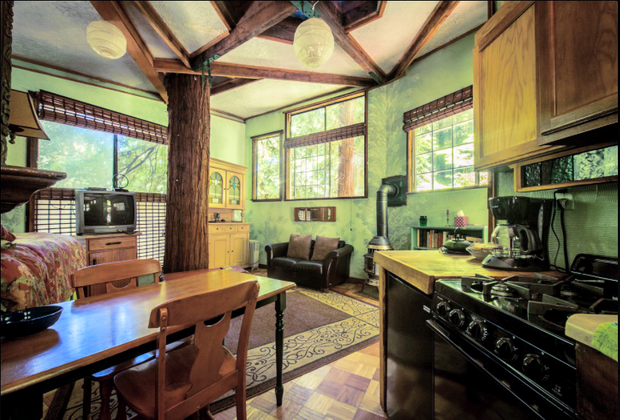 California Vacation Home Rentals for Families: A tree is growing in the middle of the house!