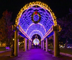 Usher in the 2025 Holidays this November with the Trellis Lighting at Christopher Columbus Waterfront Park. Photo by Mike Mejia, courtesy of the City of Boston Mayor's Office.