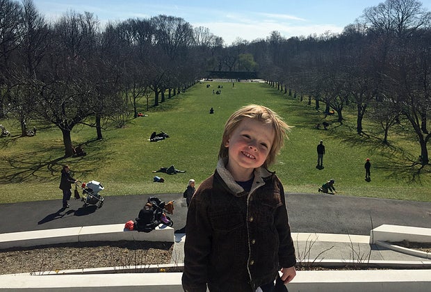 Things to do in Crown Heights, Brooklyn: Brooklyn Botanic Garden