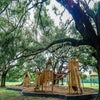 The playground at Tucker Ranch Preserve sports a treehouse-feel, surrounded by nature.