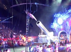 Lady fired from cannon at Barnum & Bailey Circus