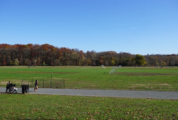 green fields van cortlandt park