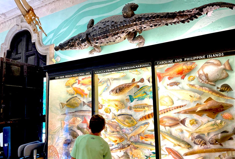 The Vanderbilt has a planetarium, an expansive mansion, and a museum, making it a great place to explore on a rainy day. Photo by Kristen Markel