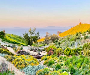 Head up the coast to the lovely Ventura Botanical Gardens for a beautiful fall walk. Photo courtesy of the Ventura Botanical Gardens