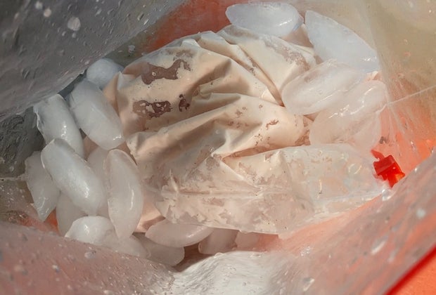 Put the cream mixture in a bag and that bag in a bag of ice to make ice cream in a bag.