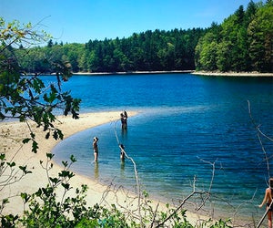 Visiting Walden Pond is perfect for enjoying nature and having fun in the sun!