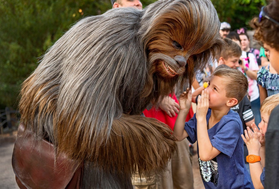 Chewy, we've missed you! Photo by Matt Stroshane courtesy of Walt Disney World