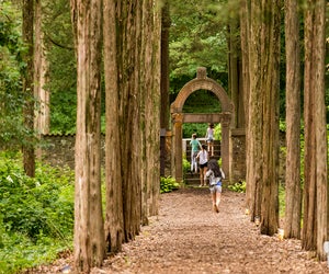 Roam the the cedar walk and gardens at Caramoor for a free, fun outing. Photo by Gabe Palacio
