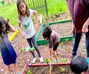 Join folks from Hilltop Hanover Farm at the John C Hart Memorial Library in Yorktown to learn about seeds, plants, and pollinators. Photo courtesy of the library 