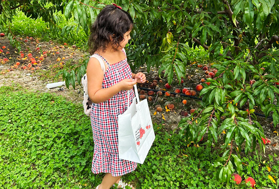 Weed Orchards & Winery is a fifth-generation Hudson Valley farm that blossoms with seasonal activities for families. 