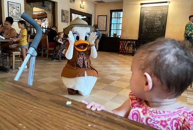 Tusker House in Animal Kingdom.
