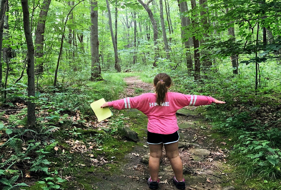 Revel in nature's majesty at Webb Mountain. Photo by Ally Noel