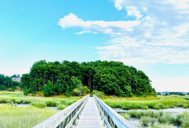 Photo of Wellfleet Wildlife Sanctuary on Cape Cod.