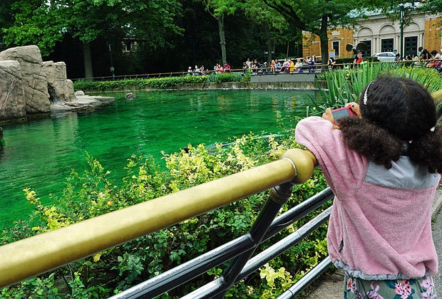 The Bronx Zoo is a lovely winter day trip destination for Westchester families.