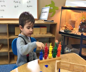 Engage in hands-on learning at West Hills Montessori School.