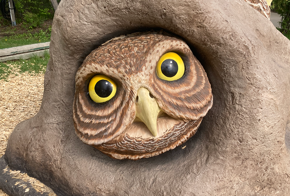 Wildlife Rescue comes to the Zoo with larger-than-life climbable sculptures.