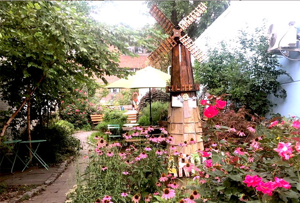 Windmill Community Garden is a secret oasis