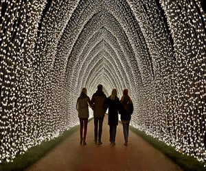Winter Cathedral is but one of the stunning sights you'll encounter at Lightscape, the new installation at the Brooklyn Botanic Garden. Photo by Richard Haughton for Sony Music