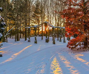 See the snow-covered sculptures at New Jersey's Grounds for Sculpture on a winter day trip. Photo courtesy of the Grounds for Sculpture