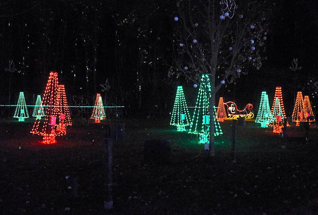 red and green-lit Christmas trees dot the night sky