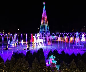 Winter Realms is a snow-capped fantasyland on the shores of Lake George. Photo courtesy of the event