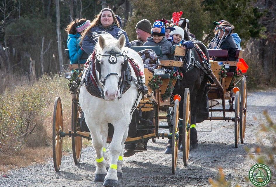 Enjoy lots of FREE fun at the Annual Winter Solstice Celebration on Saturday at Cattus Island County Park. Photo courtesy of the park