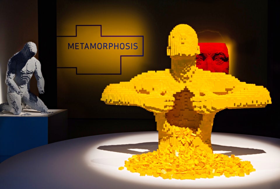 Photo courtesy of The Art of the Brick