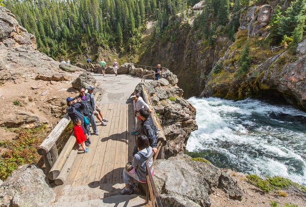 Upper Falls of the Grand Canyon of Yellowstone