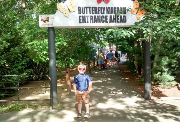 Image of a child in front of York's Wild Kingdom in Maine.