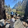 Take a break along the Merced River as you hike along the Valley Loop Trail in Yosemite National Park. 