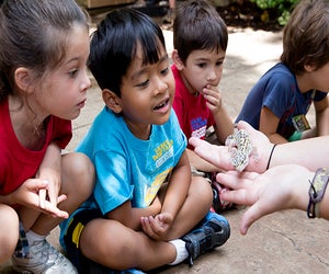 Young kids in Zoo Atlanta Adventure Cubs learn about amazing creatures each month. Photo courtesy Zoo Atlanta
